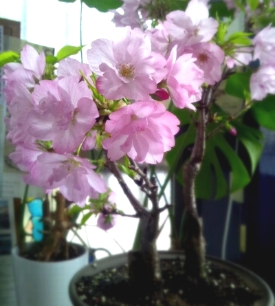 170417_140552.jpg